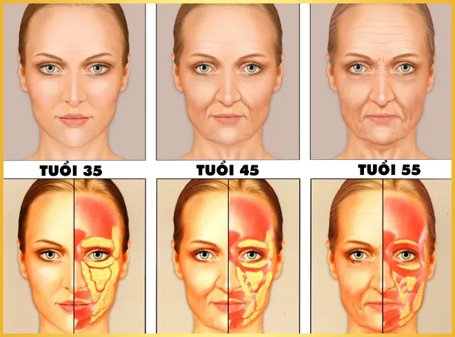 Nên chuẩn bị những gì trước khi cấy mỡ trẻ hóa da?