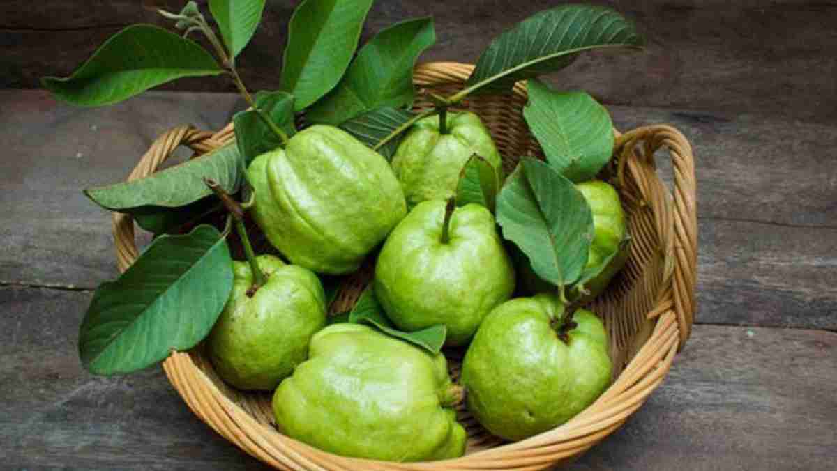 9 thực phẩm giàu vitamin C giúp phục hồi nâng mũi