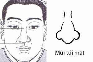 Có cần xem tướng để sửa mũi không?