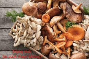 Nâng mũi ăn nấm được không? Những lưu ý.