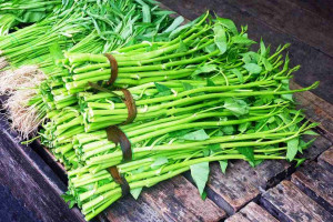 Nâng mũi xong có được ăn rau muống không? Tại sao?