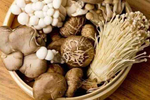 Bác sĩ giải đáp: Nâng mũi xong ăn nấm được không?