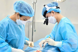 TS.BS Trang: Từ vi phẫu, siêu vi phẫu đến nâng mũi ứng dụng siêu vi phẫu