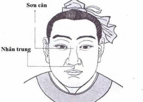 Mũi rồng, mũi lân, mũi két theo nhân tướng học: nên sửa hay giữ? (Giải pháp nâng mũi siêu vi phẫu tạo dáng mũi chuẩn tướng)