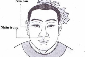 Mũi rồng, mũi lân, mũi két theo nhân tướng học: nên sửa hay giữ? (Giải pháp nâng mũi siêu vi phẫu tạo dáng mũi chuẩn tướng)