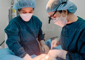 Cấy mỡ mặt đẹp, an toàn và tự nhiên: Giải pháp cho má hóp, thái dương lõm tại TARA Beauty Clinic