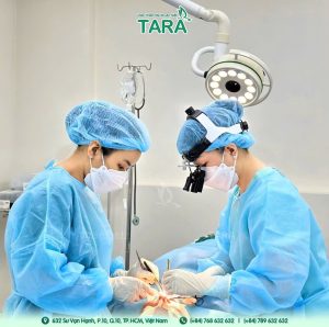 Kinh nghiệm chọn bác sĩ nâng mũi siêu vi phẫu giỏi tại TP.HCM