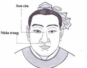 Meta Description: Phân tích chi tiết ý nghĩa tướng số của Mũi Rồng, Mũi Lân, Mũi Két. Giải pháp chỉnh sửa dáng mũi để cân bằng thẩm mỹ và phong thủy bằng Kỹ thuật Siêu Vi Phẫu với TS.BS Cái Hữu Ngọc Thảo Trang.