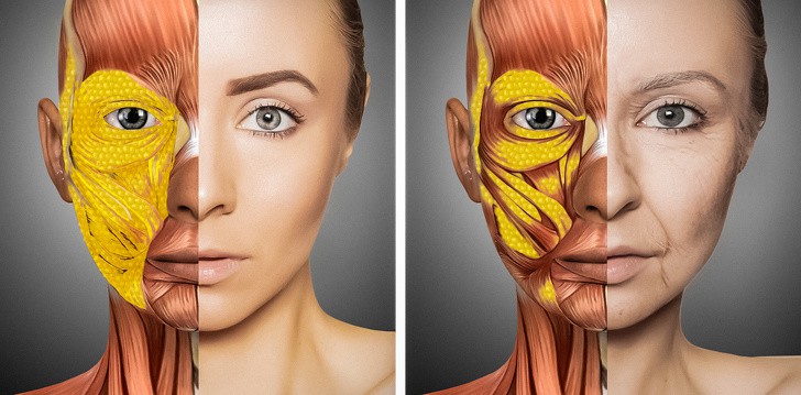 Ai nên làm combo căng da midface và nâng mũi? 5 dấu hiệu gương mặt ‘xuống sắc’ cần can thiệp